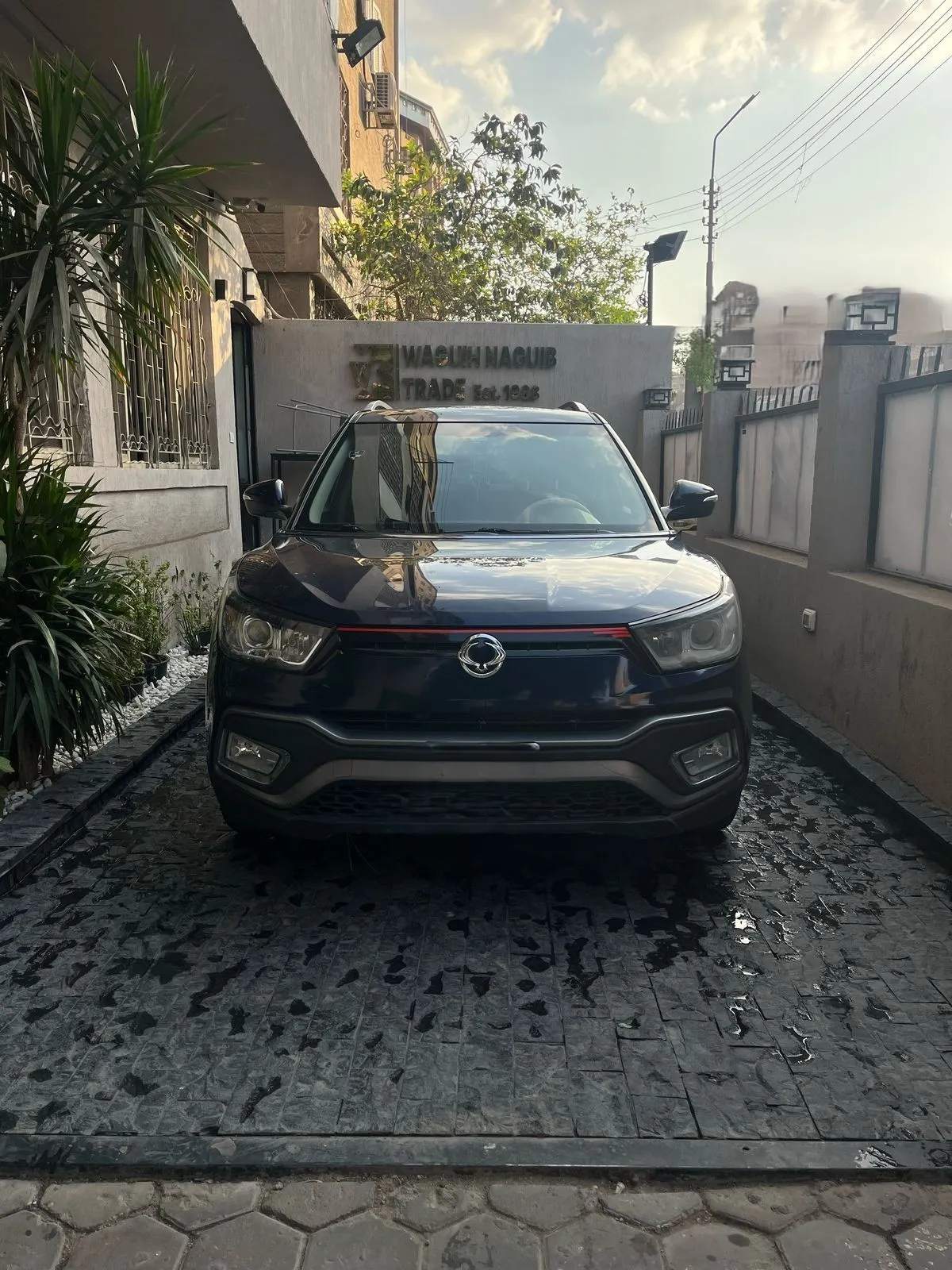 سانج يونج تيفولي 2019